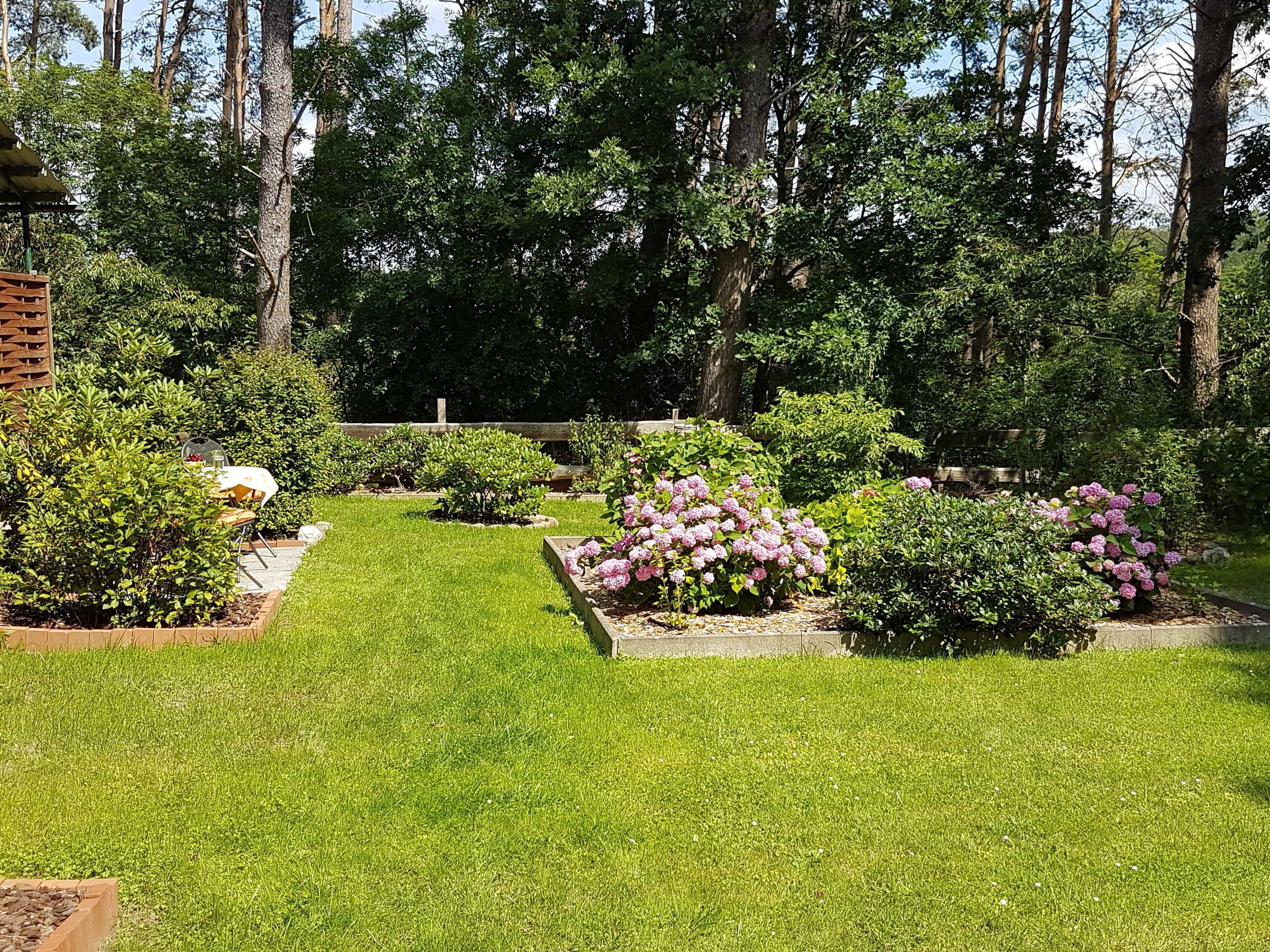Um jardim bem cuidado, com diversas plantas e um caminho bem definido.