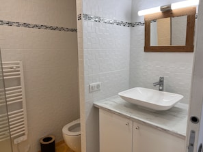 Shower, towels, toilet paper
