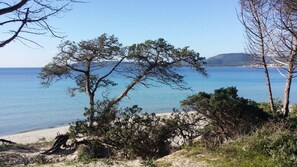 A coastal landscape with trees, a sandy beach, and a clear view of the sea.