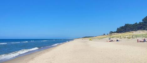 Tæt på stranden, fiskeri