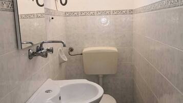 Shower, bidet, towels, toilet paper