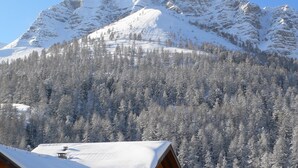 Una montagna con cime innevate e una zona boscosa in primo piano.