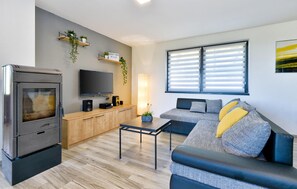 Smart-TV, Kamin, Tischtennisplatte, Stereoanlage