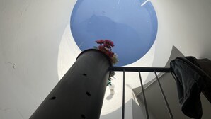 Uitzicht door een rond dakvenster met een bloemstuk op een leuning.