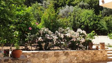 Deluxe Studio | Terrace/patio