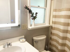 A bathroom with a white sink, a toilet, and a window with a plant. - Beech Mountain Retreat With Mountain View<br> (Beech Mountain)