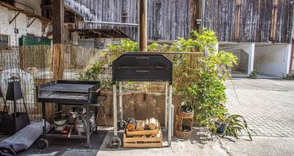 grand gĂźte**** jusqu'Ă  14 personnes prox Europapark