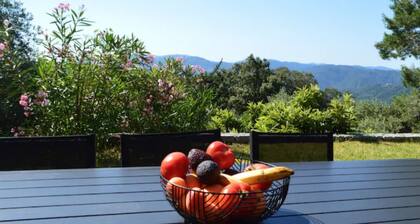 Maison provençale avec piscine et vue panoramique