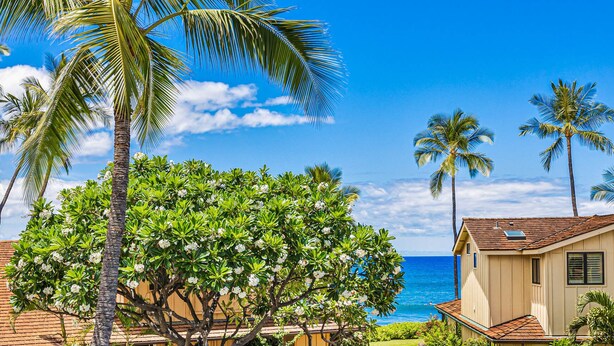 A coastal property with a view of the ocean, surrounded by palm trees and a house with a tiled roof. - 100-4 Island living at its best!! (Lahaina)