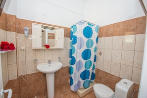 Ducha, secador de pelo, toallas y papel higiénico