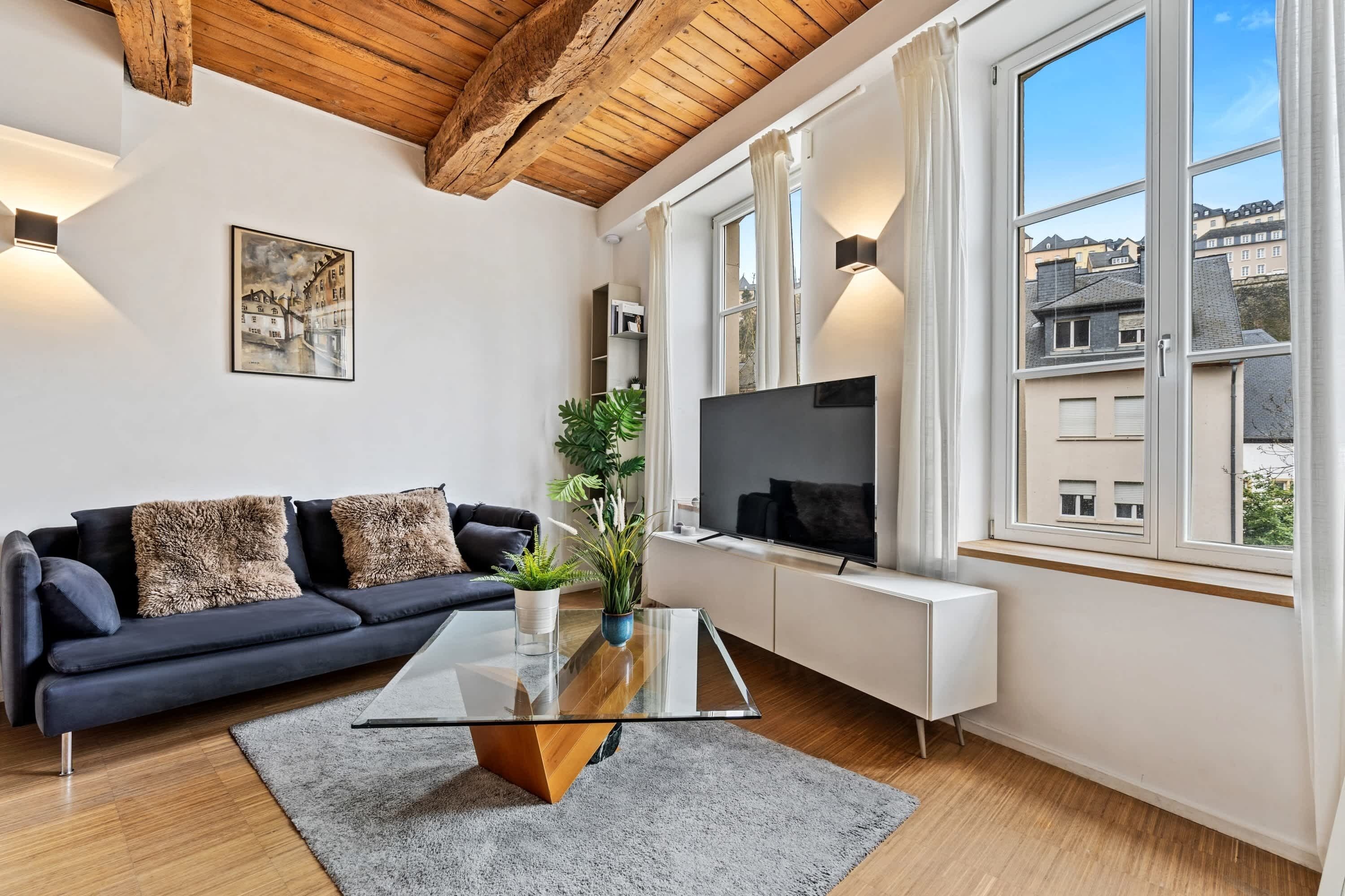 Fernseher, Arbeitsbereiche