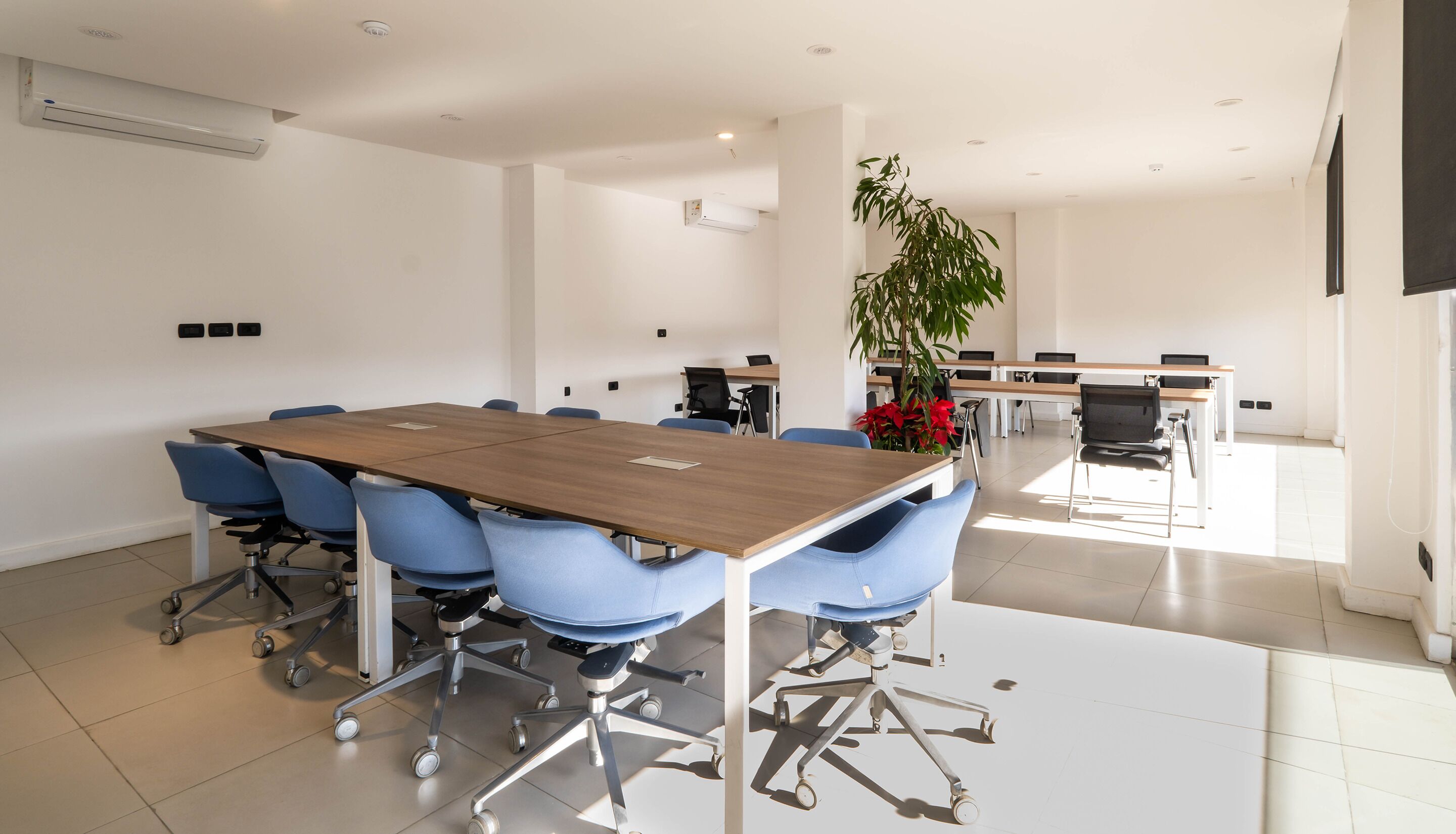 A modern conference room with a large wooden table, blue office chairs, and a potted plant.