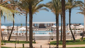Área de piscina en un resort, con palmeras, sillas de descanso y sombrillas.