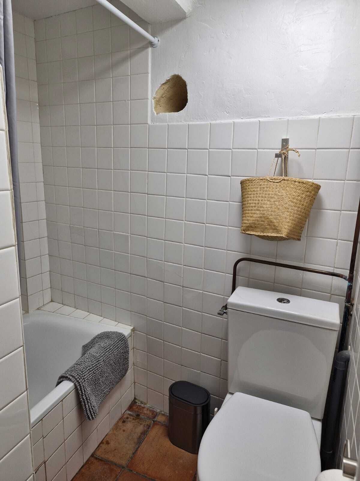 Bathtub, hair dryer, soap, toilet paper
