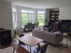 TV, fireplace, books