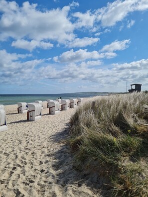 Playa en los alrededores y camastros 