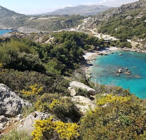 A coastal landscape with rocky terrain, dense vegetation, and a clear turquoise sea. - Ladikos Garden (Rhodes)