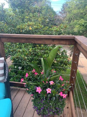 Imagen sin descripción, 3 de 49, botón