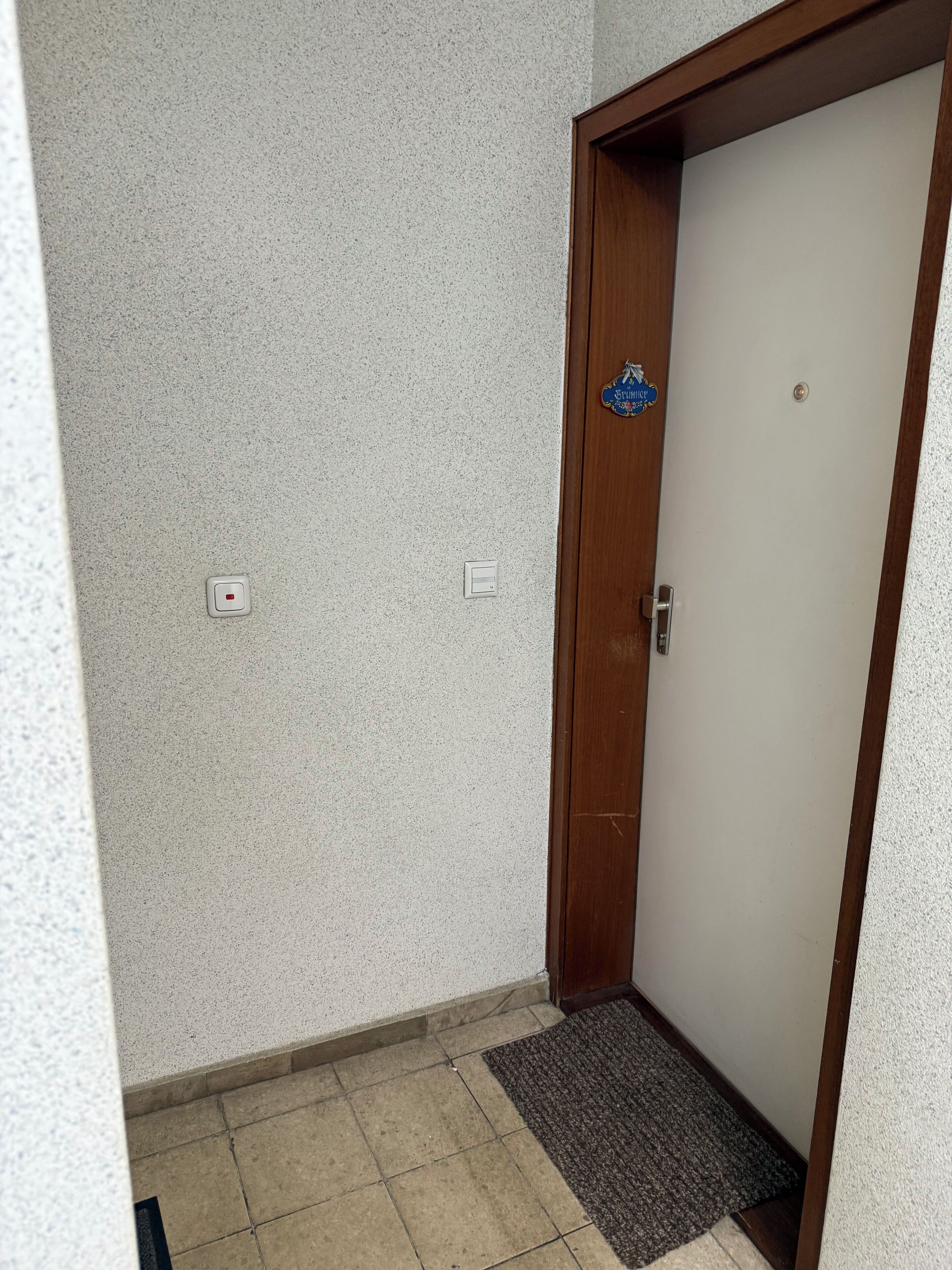 A narrow hallway with a tiled floor, a wooden door with a metal handle, and a small mat at the entrance.
