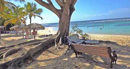 VILLA CREOLE - INTIMITĂ TOTALE