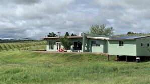 Uma casa verde, térrea, com telhado plano, um pequeno alpendre e um quintal cercado.