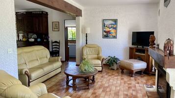 电视、壁炉、DVD 播放器、书