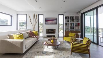 Smart TV, fireplace, books, stereo