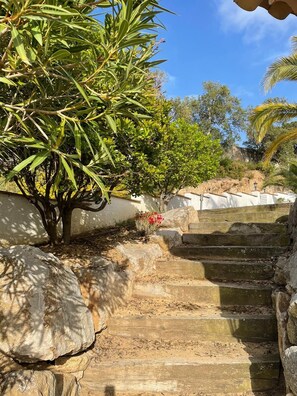 Àrea exterior de l'allotjament