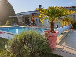 Ein Schwimmbecken mit einem Haus im Hintergrund, umgeben von Grünpflanzen und einer Palme.