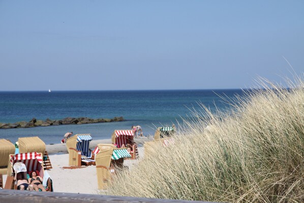 بالقرب من الشاطئ، كراسي للتشمس