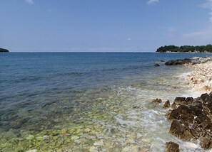 Una playa cerca