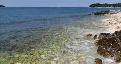 Apartment in Funtana with Balcony, Air condition, WIFI, Washing machine (4982-1)