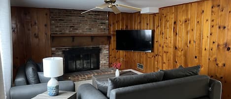 Smart TV, caminetto, monitor per computer