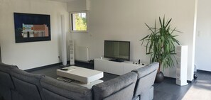 Télévision, cheminée