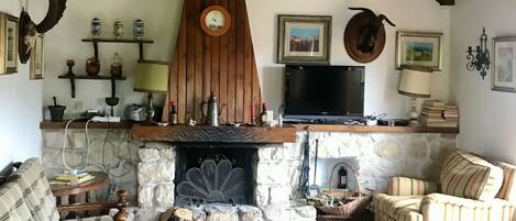 TV, fireplace, table tennis