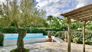 Una piscina con gradini per accedervi, circondata da alberi e piante in vaso.