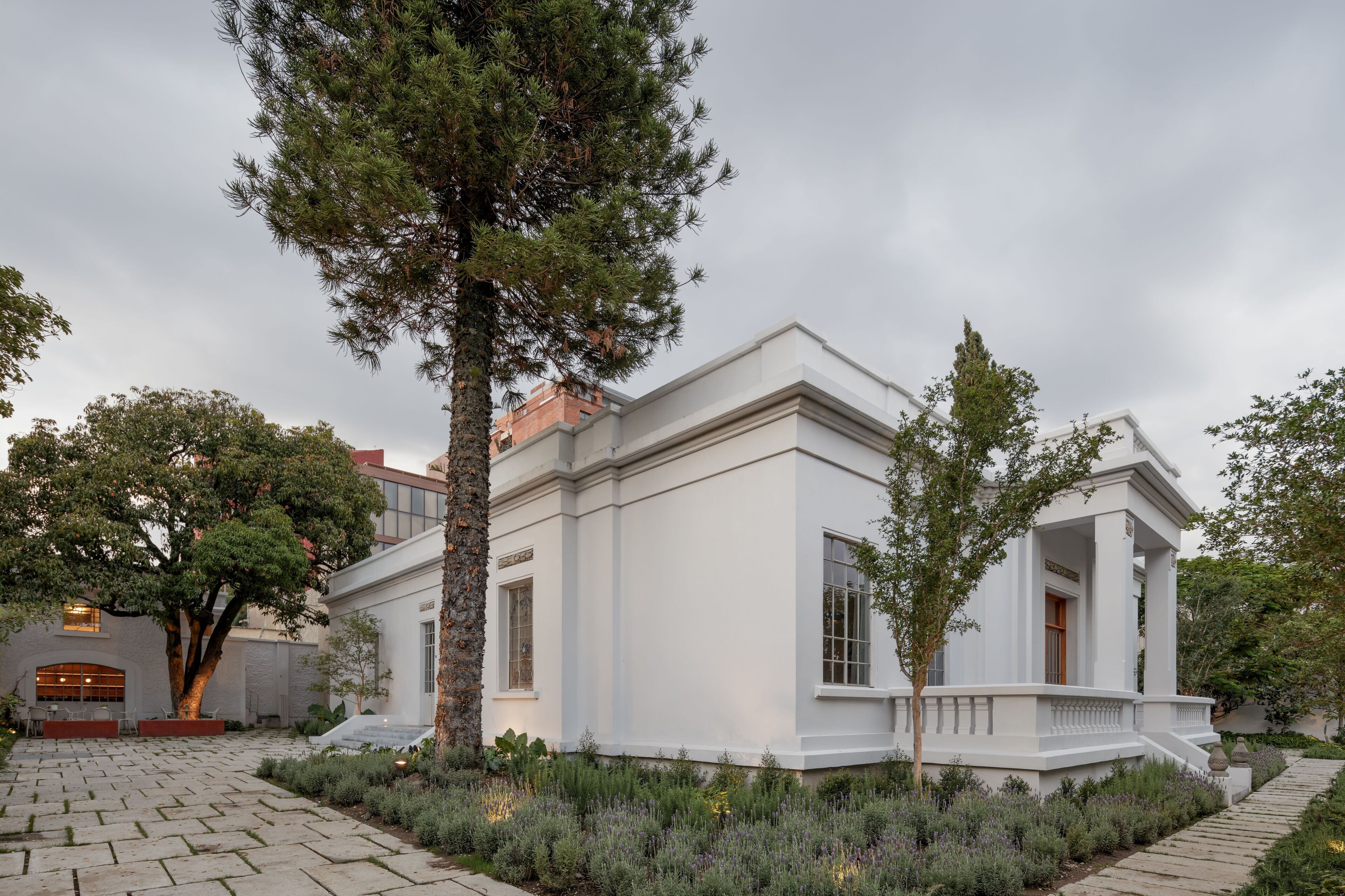 A white building with a symmetrical facade, a central entrance, and a paved courtyard with a tree and lavender plants.