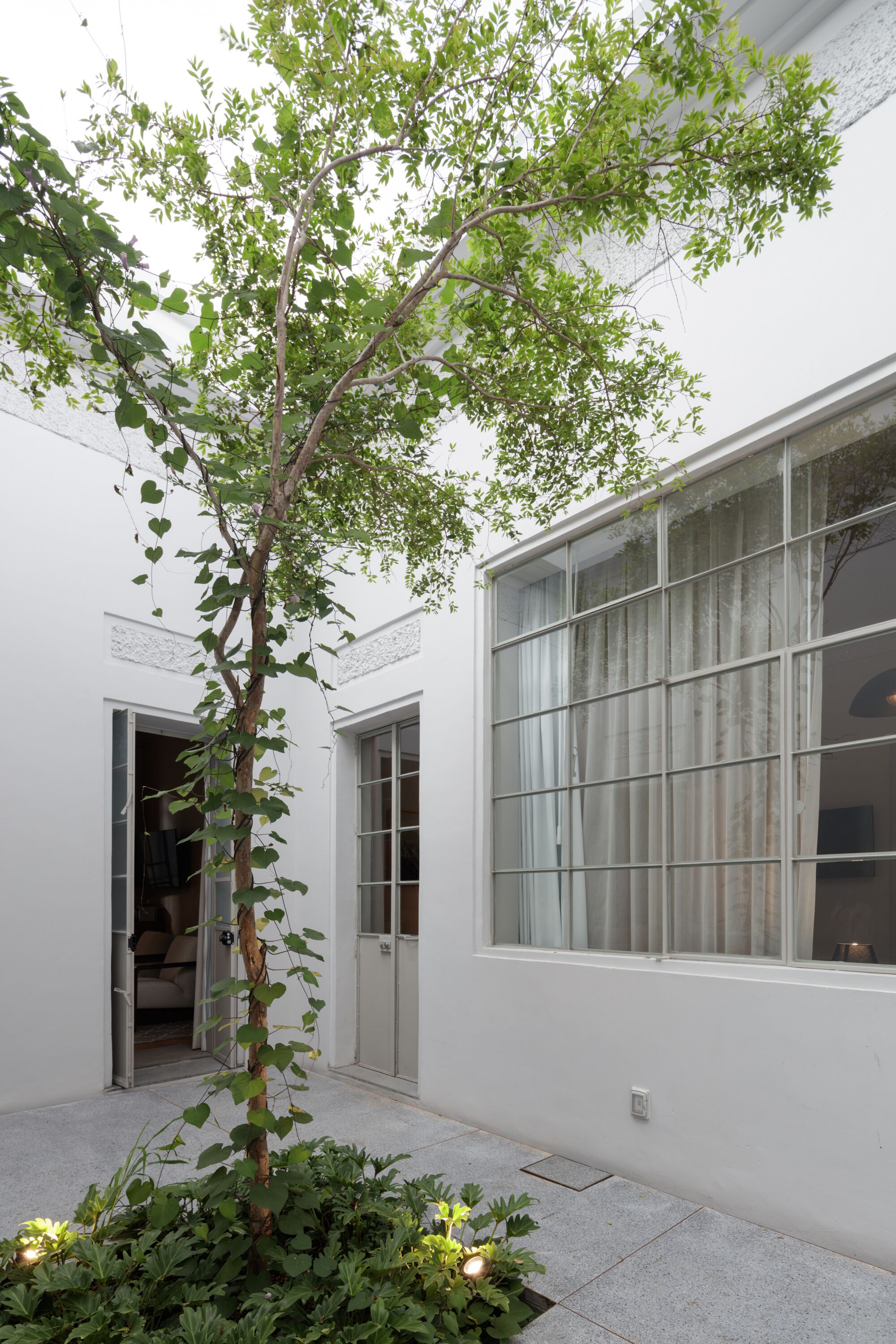 Foto - Casa Bosque Eduviges