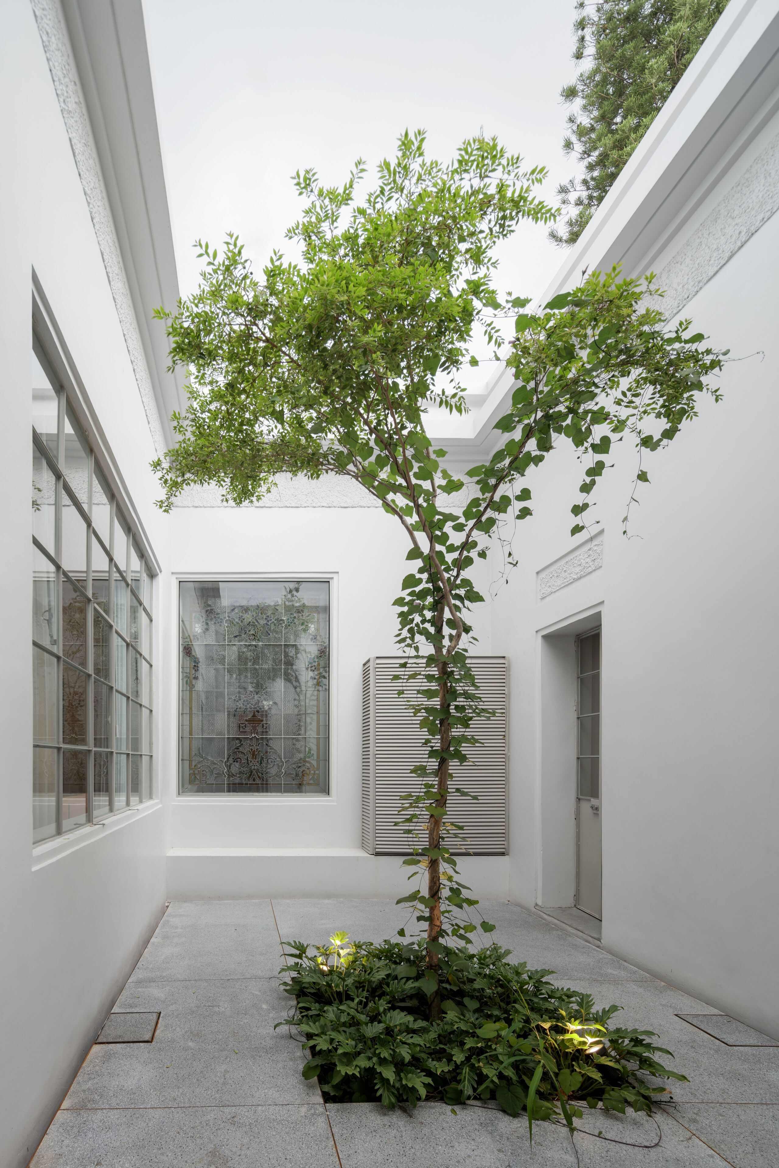 Foto - Casa Bosque Eduviges