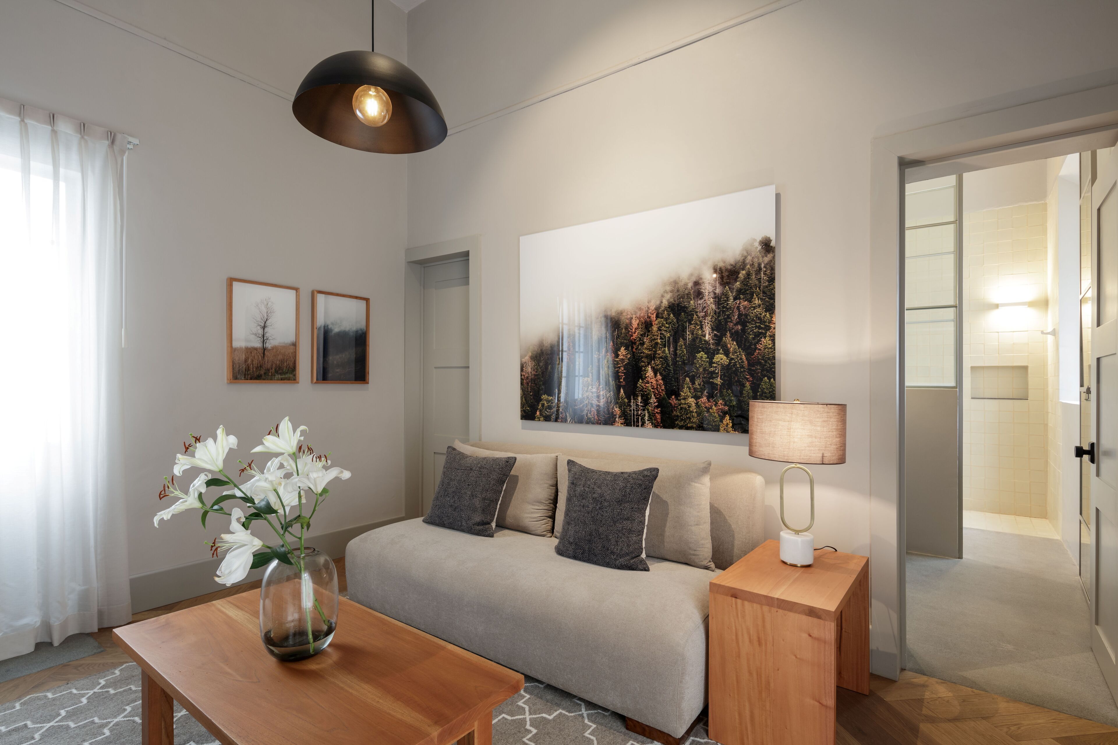 deluxe suite | living area | smart tv