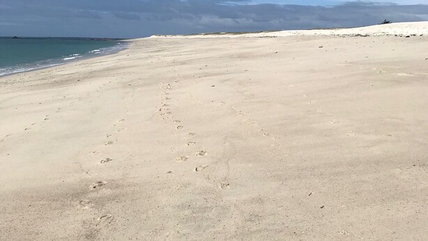 A wide sandy beach with footprints leading towards the water, under a partly cloudy sky. - Maison à 100m de la Plage (Treffiagat)