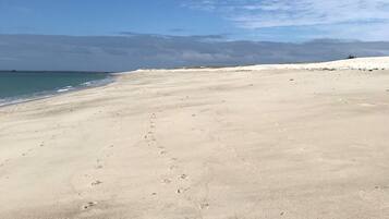 On the beach