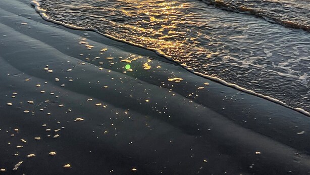A sunset over a beach with waves reflecting the sun's light. - Oceanview Beach House - steps from the beach, really close to Galveston. TipSea! (Galveston)