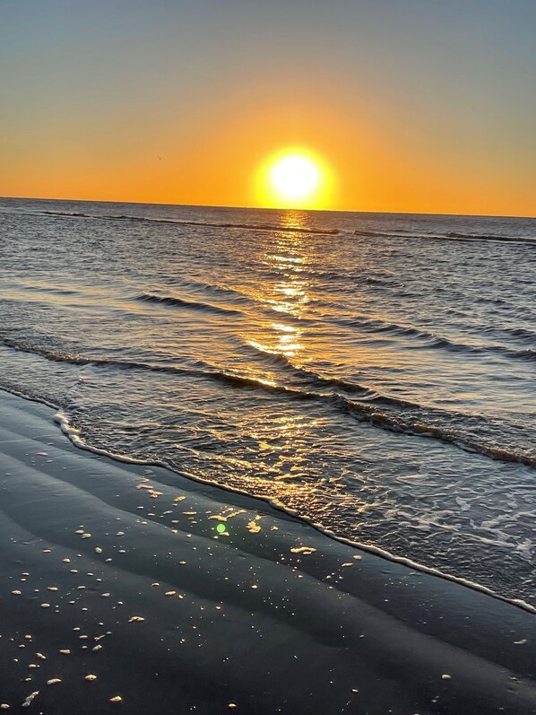 Ubicación a pie de playa y tumbonas