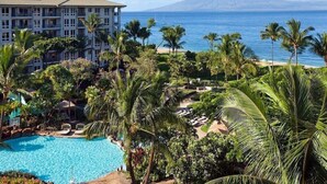 En resort med swimmingpool, palmer og havudsigt.