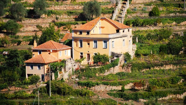 A two-story building with a red-tiled roof, surrounded by terraced vineyards. - Country house near sea, ideal for families and all outdoor activities. (Finale Ligure)