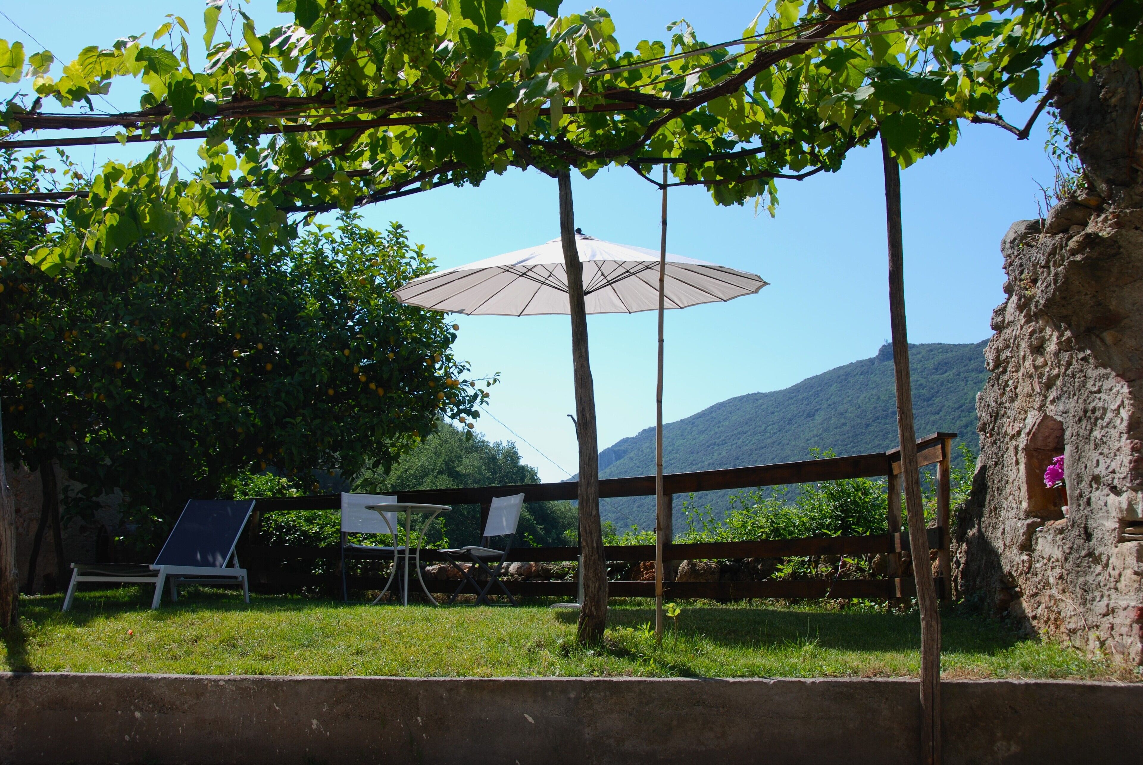 屋外ダイニングエリア