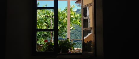 A window with a view of lush greenery and a distant mountain range.