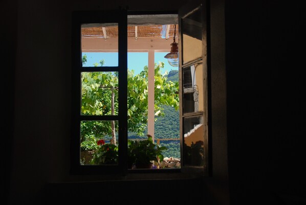 A window with a view of lush greenery and a distant mountain range.