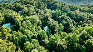 Üppige, grüne Waldlandschaft, in deren Mitte ein kleines Gebäude zwischen den Bäumen liegt.